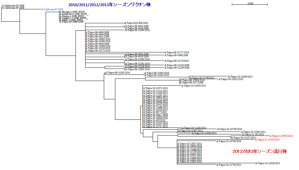 12-13年シーズンAH31pdm09系統図