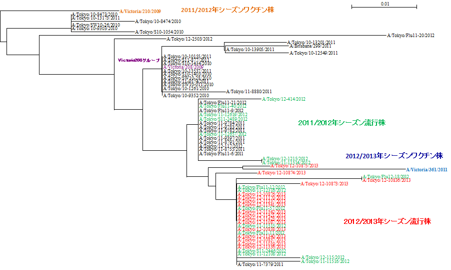 12-13年シーズンAH3亜型系統図