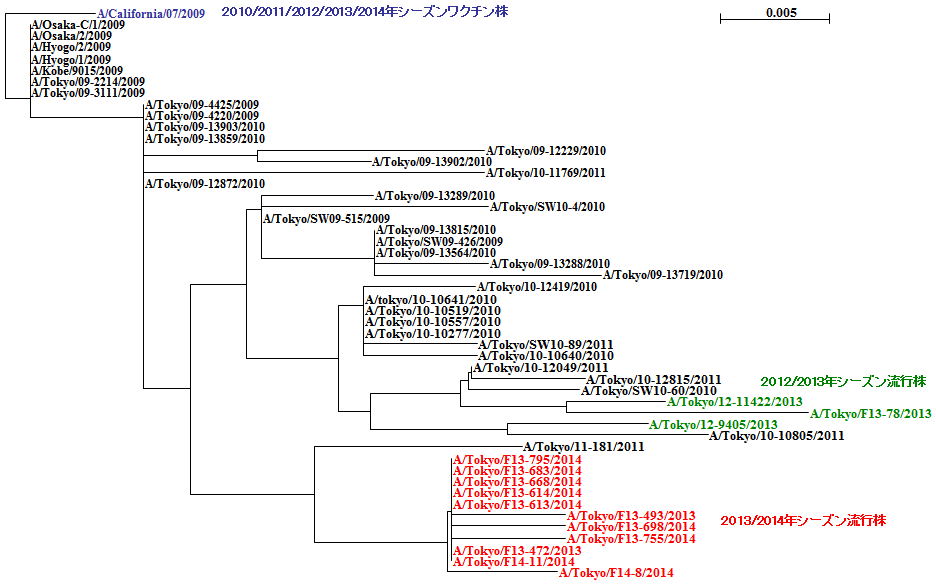 13-14年シーズンAH1pdm09亜型系統図