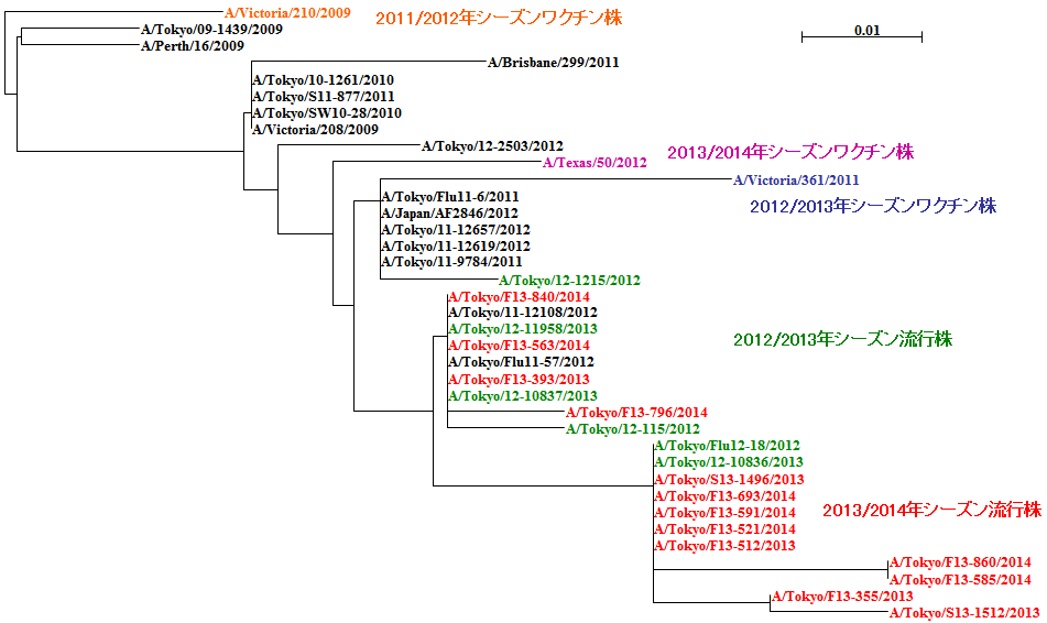 12-13年シーズンAH3系統図