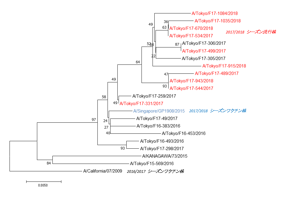 東京都におけるAH1pdm09インフルエンザウイルスのHA遺伝子系統樹
