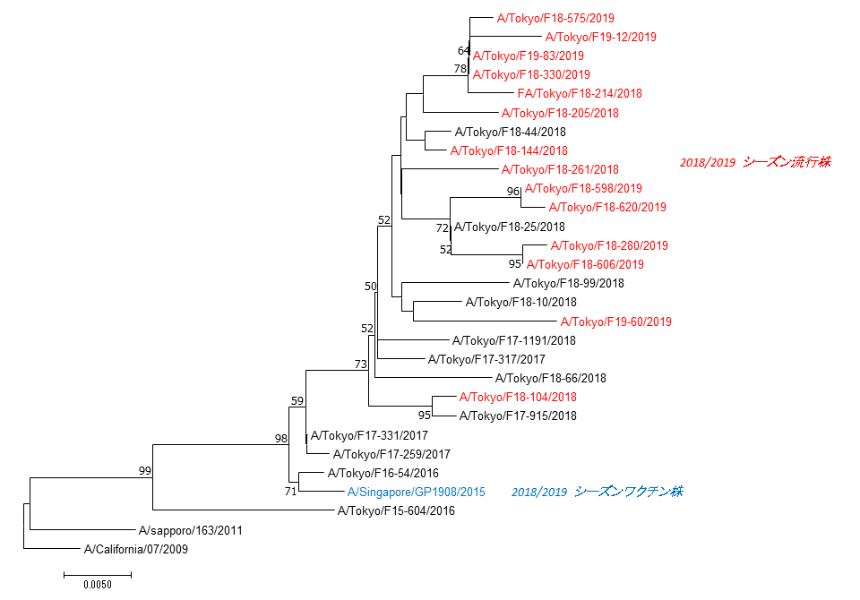 東京都におけるAH1pdm09インフルエンザウイルスのHA遺伝子系統樹