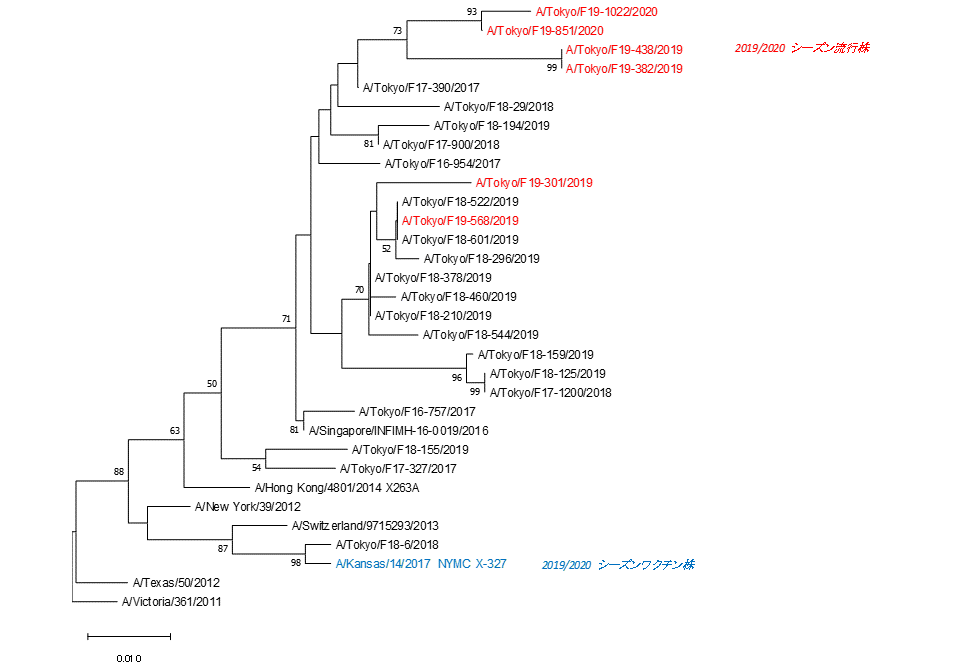 東京都におけるAH3亜型インフルエンザウイルスのHA遺伝子系統樹