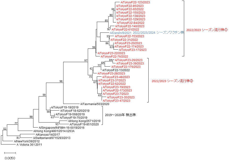 東京都におけるAH3亜型インフルエンザウイルスのHA遺伝子系統樹