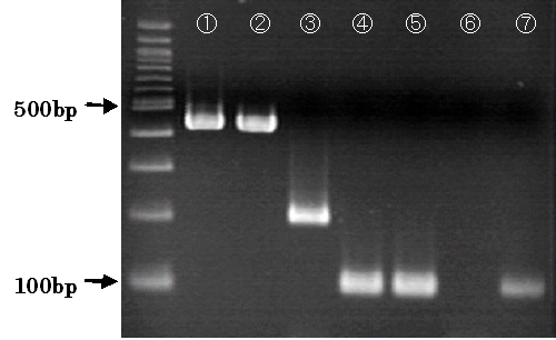 それは何ですか？
