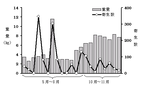 図1　アニサキスが検出されたメジマグロの重量と寄生数の関係